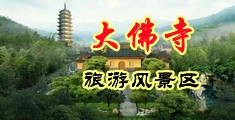 口舔视频两腿之前粉嫩中国浙江-新昌大佛寺旅游风景区